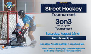 2627 Street Hockey Website