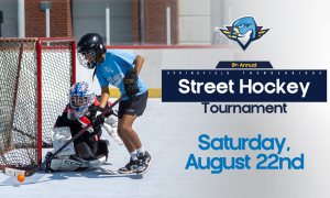 Street hockey WEB