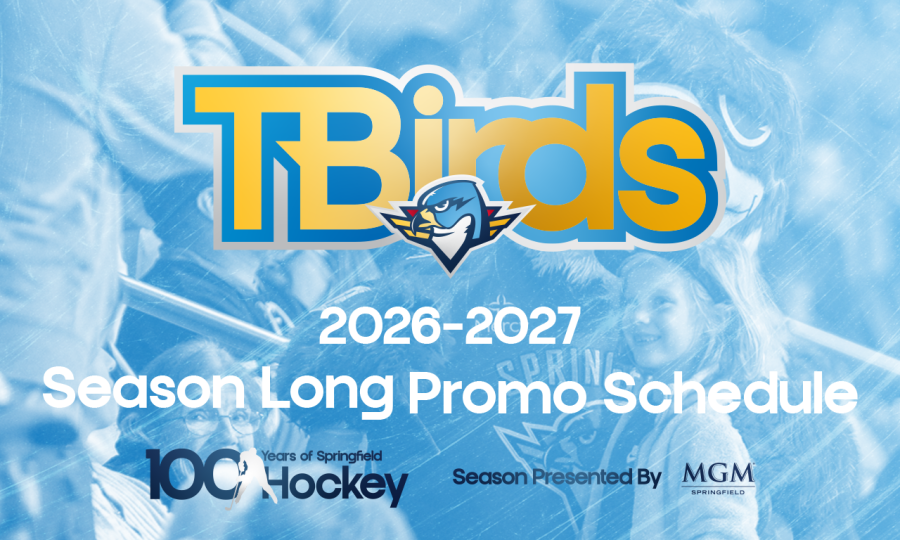 Seasonlongpromos web