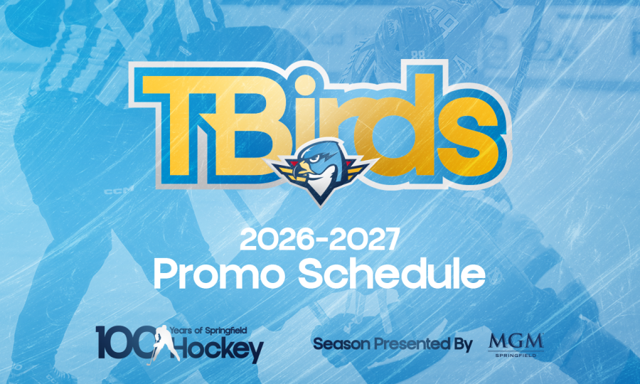 Promoschedule web